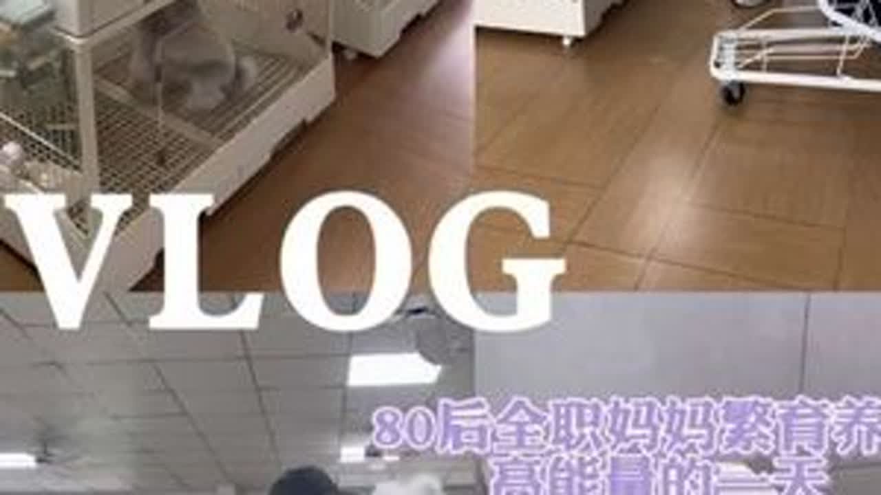 80后全职妈妈开兔舍养兔日常 