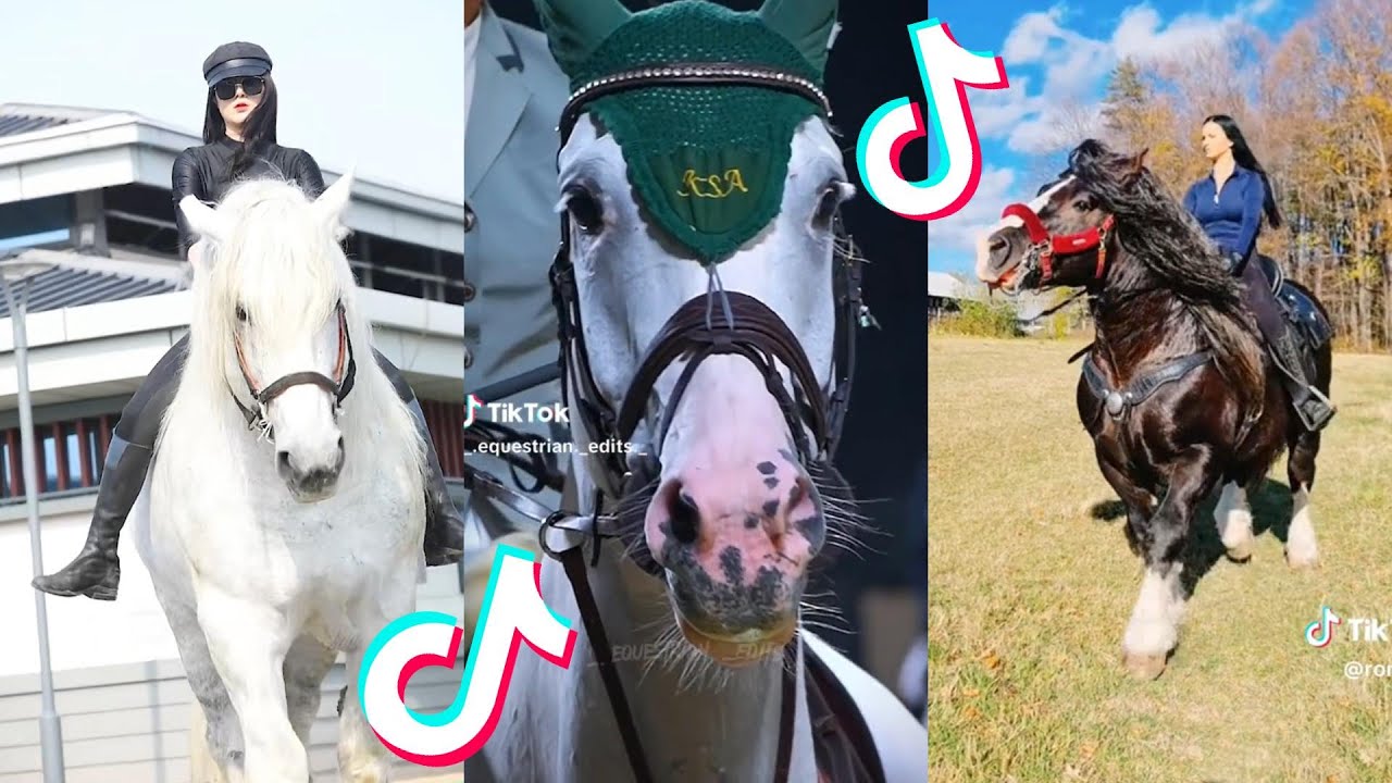 19 Minutes Of Reletable HORSE TikTok Compilation #194