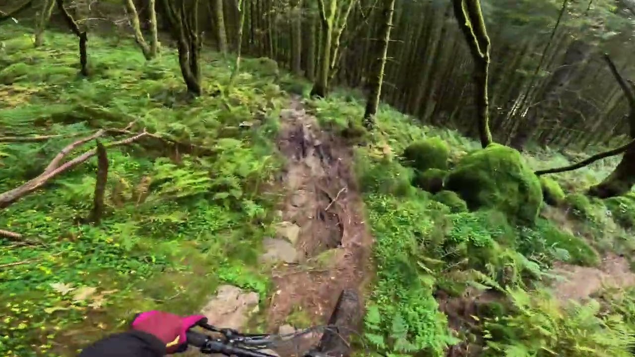 Storsteinen Ridge Hardbakkedalen Bergen Norge oktober 2025 #emtb #mtb #specializedlevoturbo #norway 