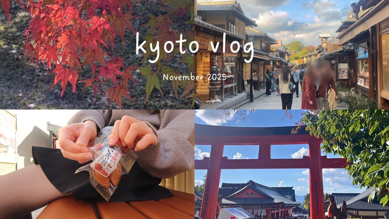 trip vlog ∥ひとりで楽しむ京都、日帰り旅｜紅葉🍁｜お寺,神社巡り⛩️｜食べ歩き🍡