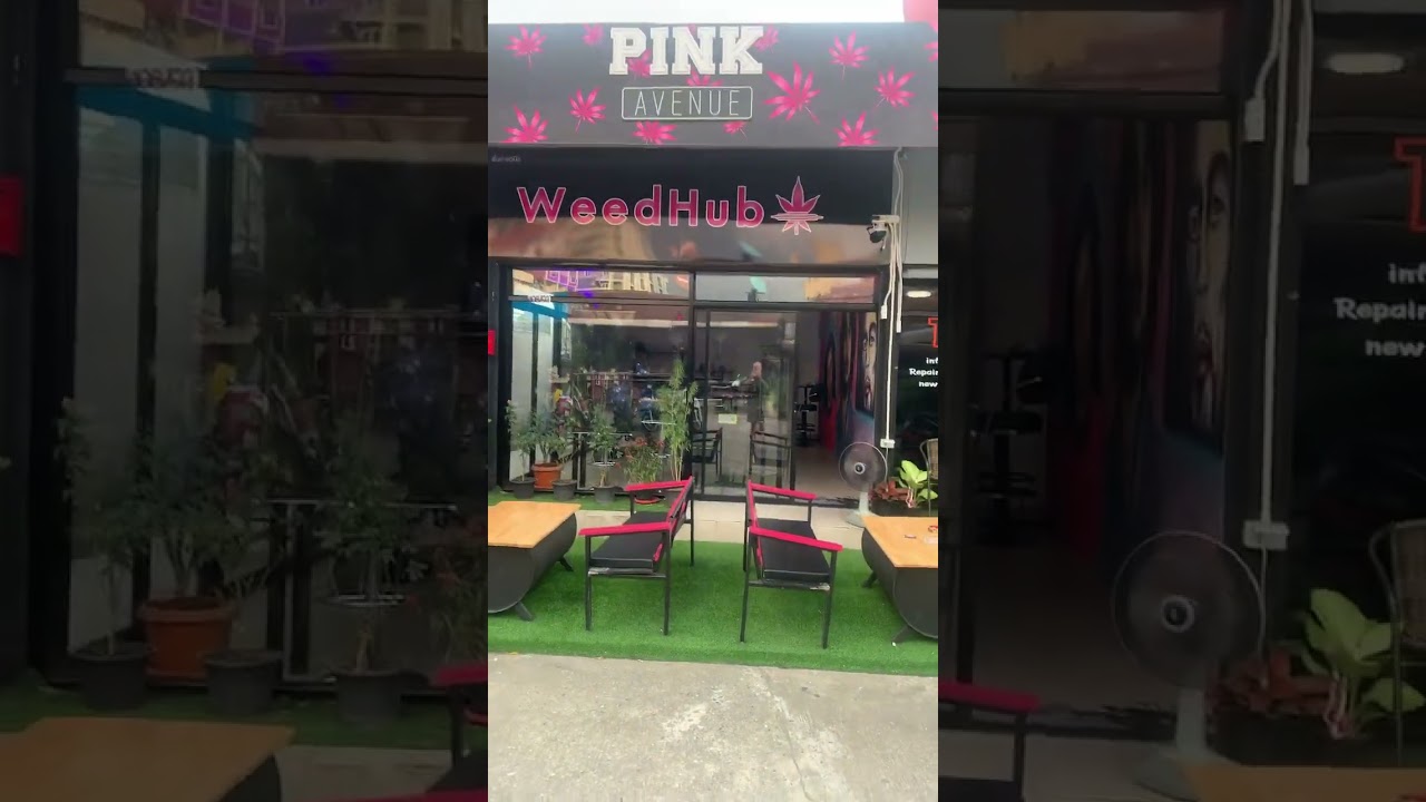 Weedhub pink avenue cannabis coffee shop Thailand
