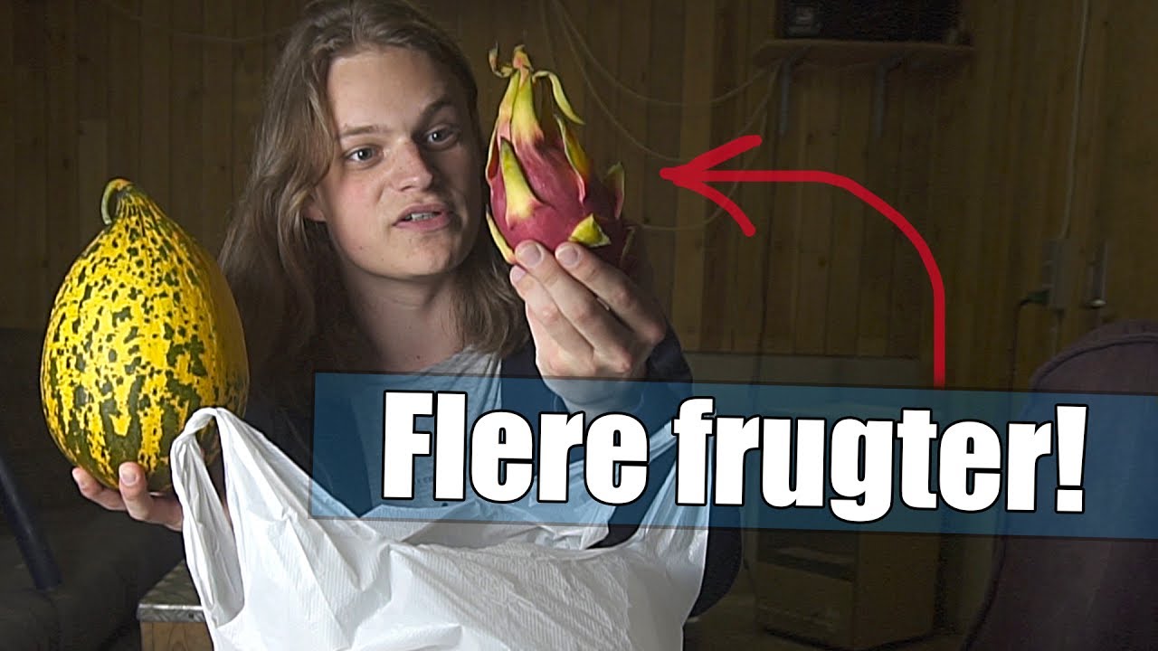 EKSOTISKE FRUGTER 2