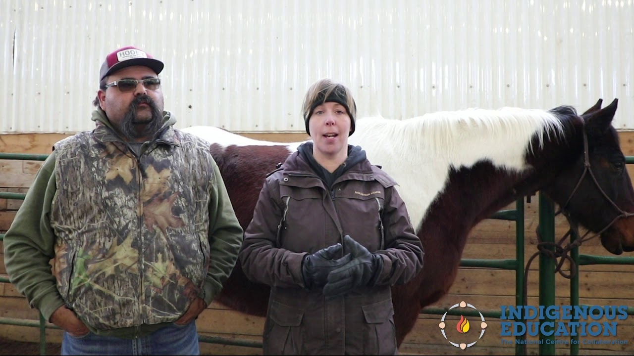 Equine Assisted Learning Program at Leading Thunderbird Lodge