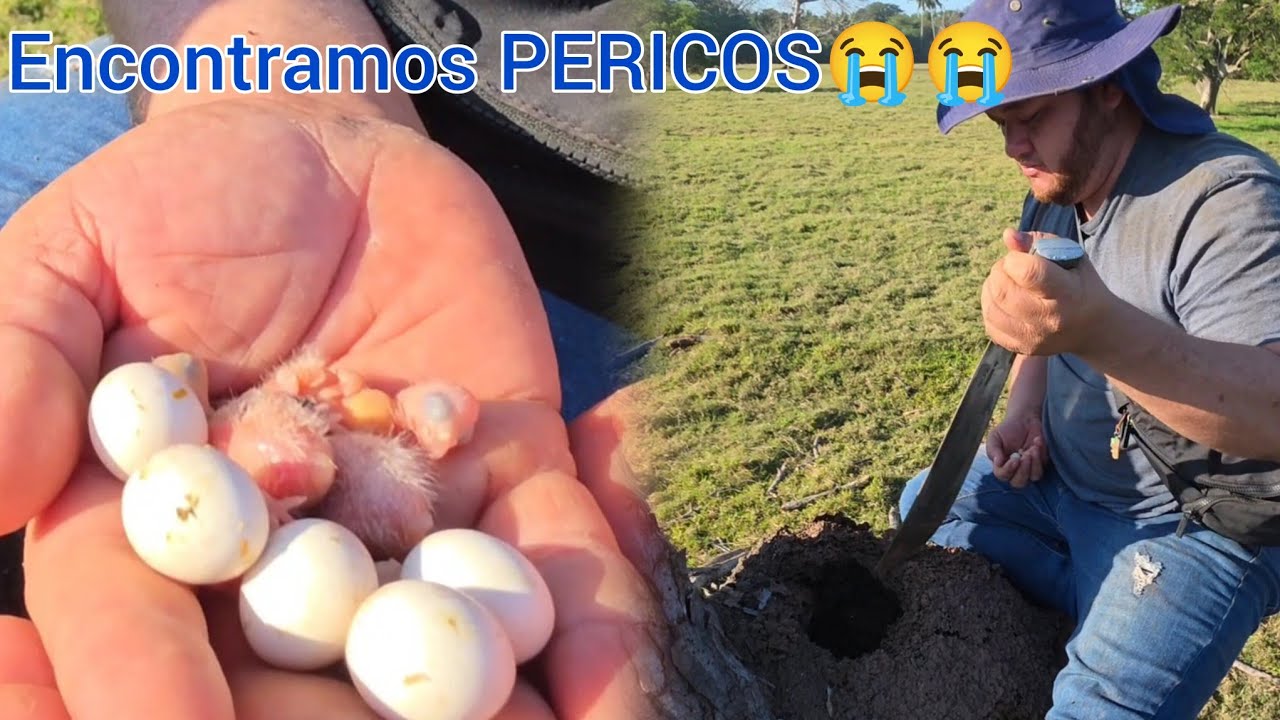 🔴 ESTO ES Lo peor que he echo en mi vida 😭😭