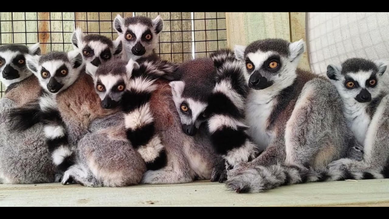 Chase Sanctuary-Webster, FL 2023-07-24