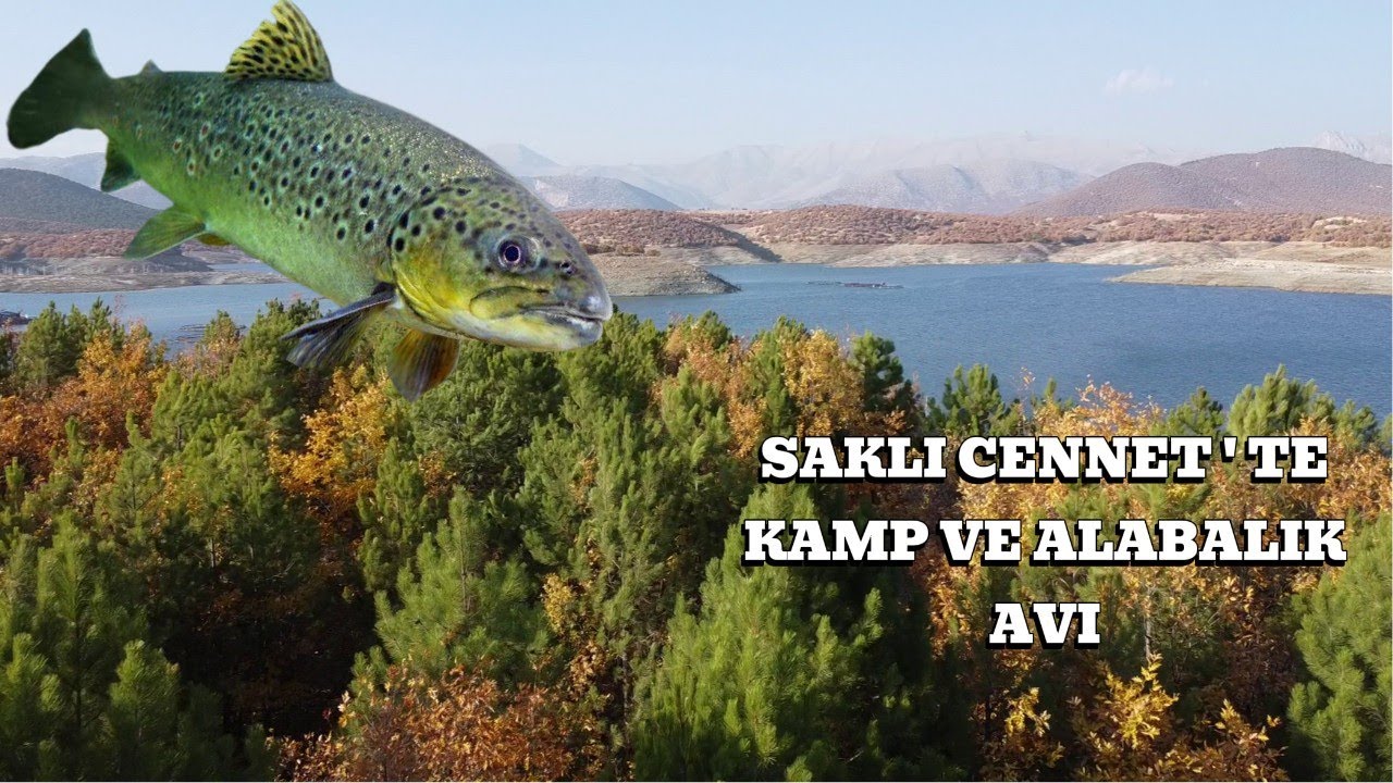 КЕМПИНГ И ЛОВЛЯ ФОРЕЛИ В РАЙ#животные#рыбалка#открытия#искусство#катушки#еда#кемпинг#трендышорты#...