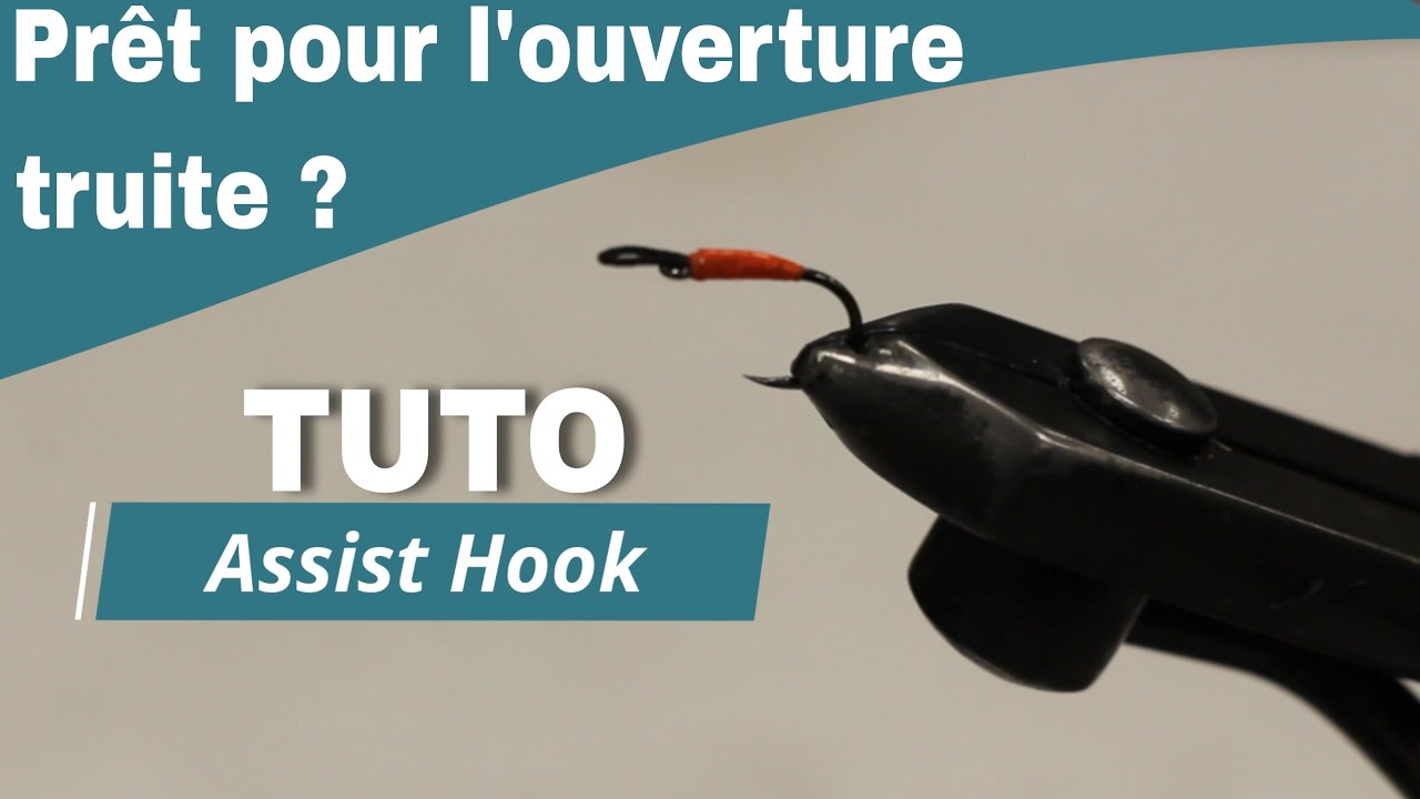 Tuto Assist Hook