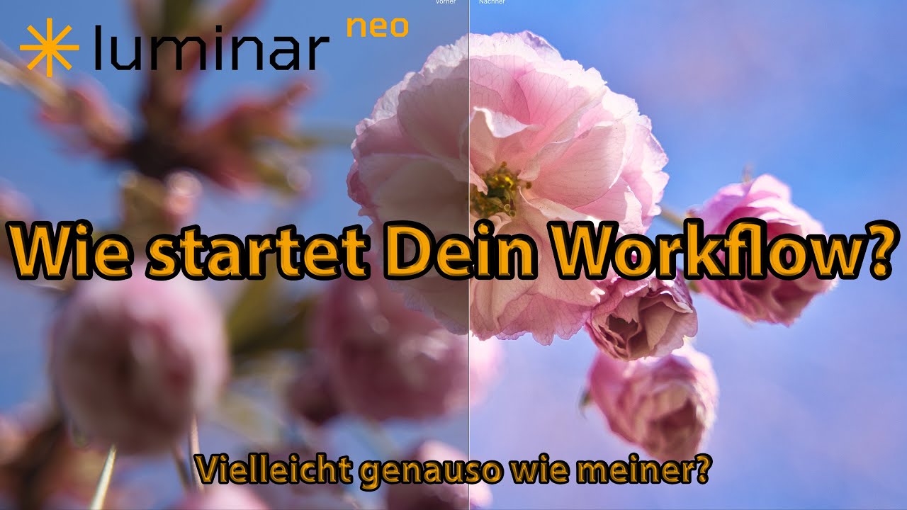Luminar Neo - Schritt für Schritt zu besseren Fotos