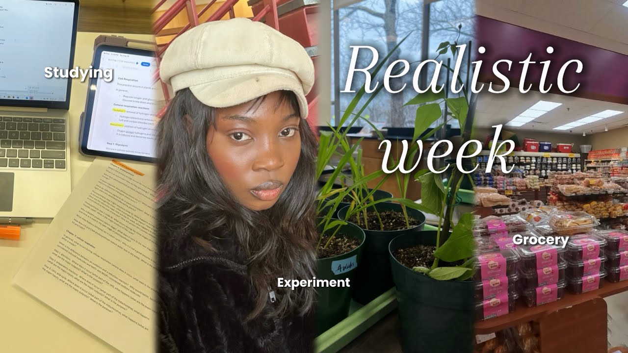 PRODUCTIVE DAYS IN MY LIFE