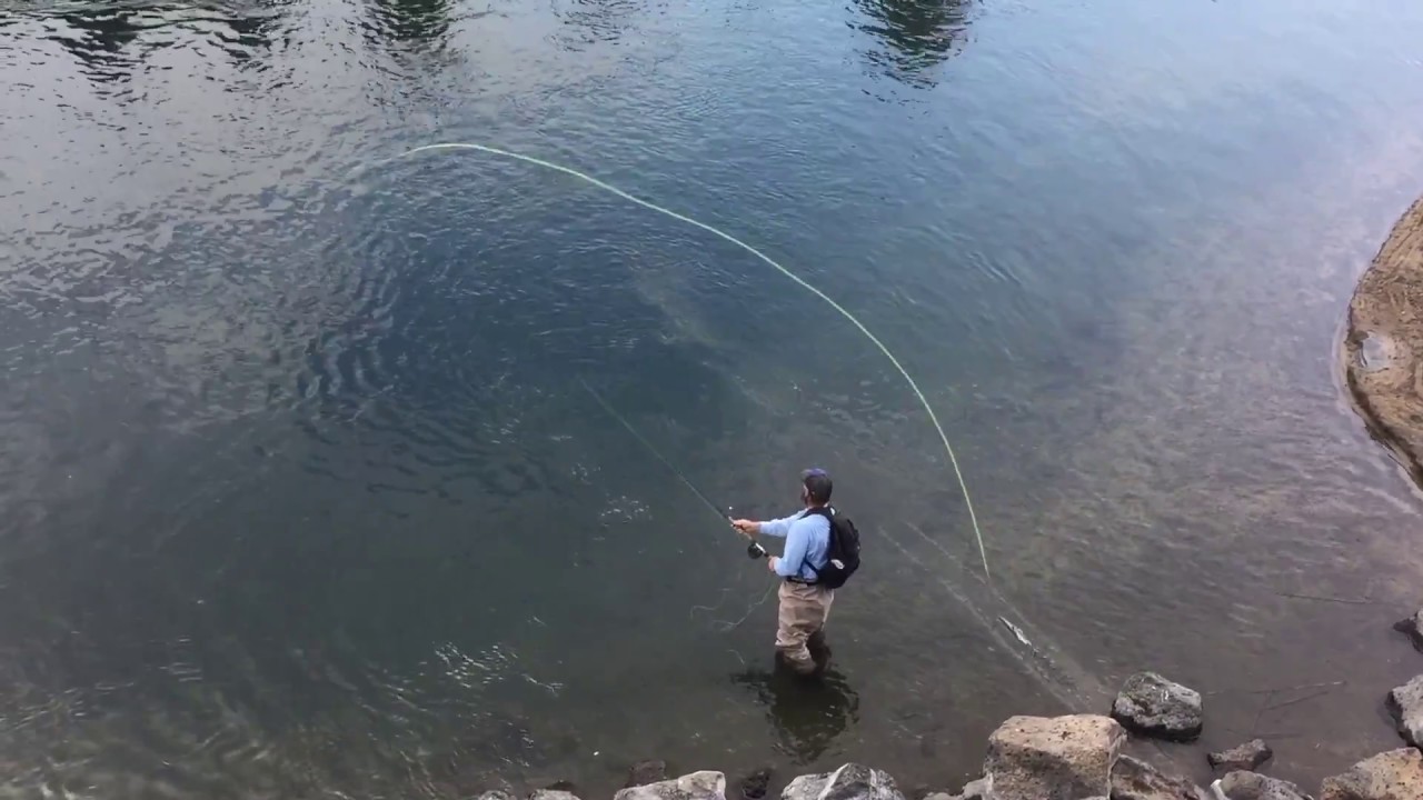 Spey Casting Skagit lines:  Basic and Advanced Skagit Casting Techniques,