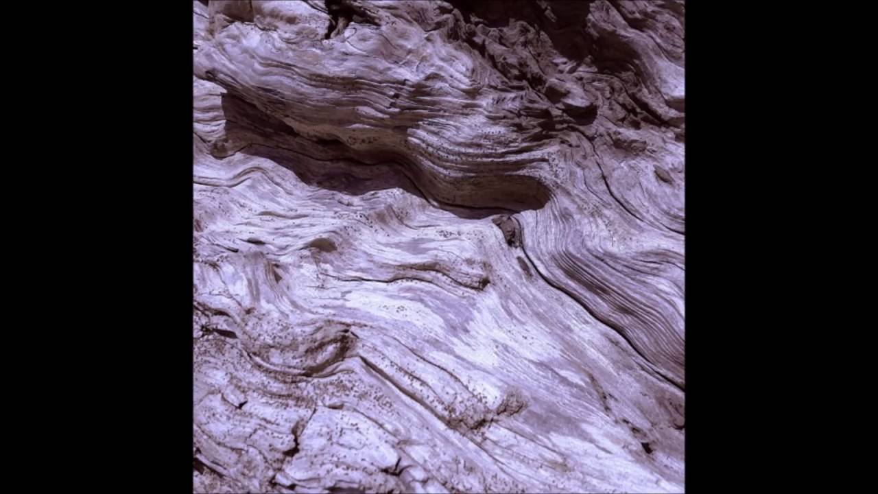 namelessmyst - horticulturaldriftwood