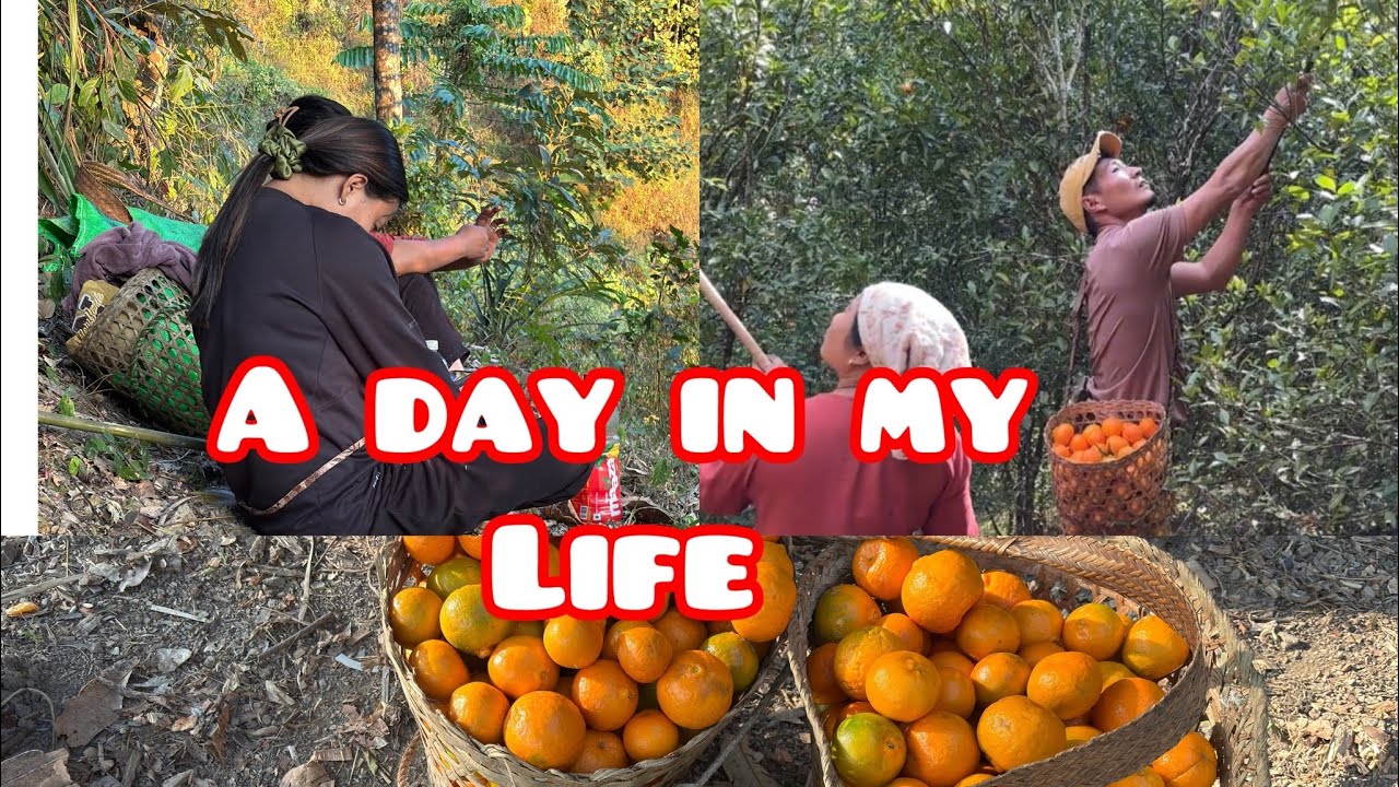 Living a Day in Orange 🍊 