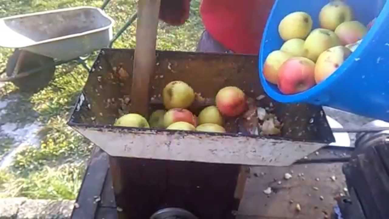 MLJEVENJE JABUKA