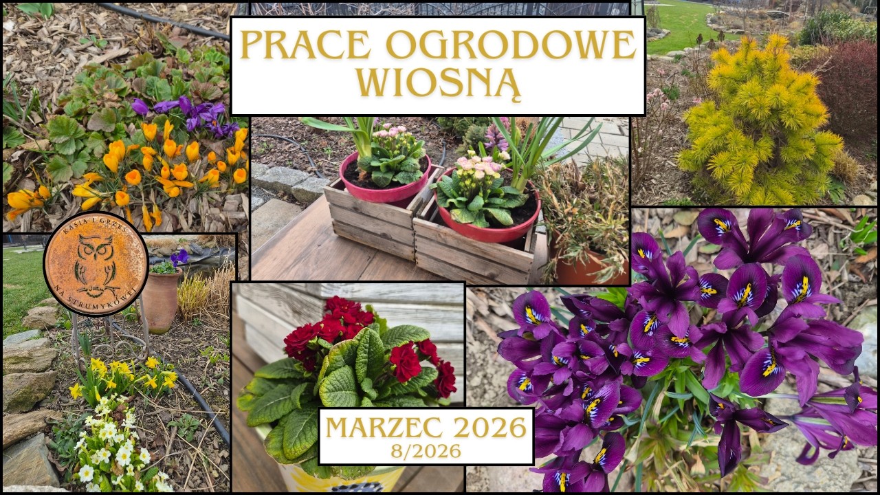Prace ogrodowe wiosną 8/2026