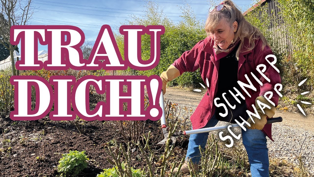 Radikaler Schnitt gegen nackte Beinchen bei den Rosen ?