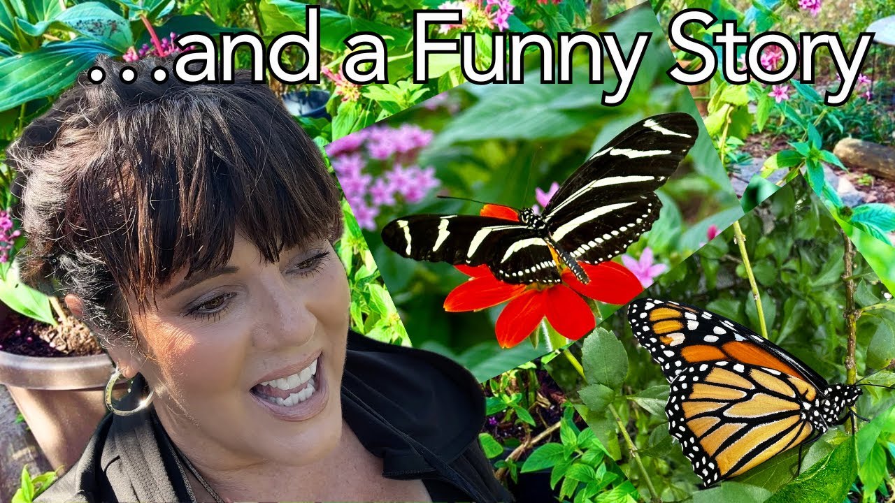 Exciting Updates, New Plants and Butterfly Sightings | Gardening for Butterflies in Florida Zone 10a