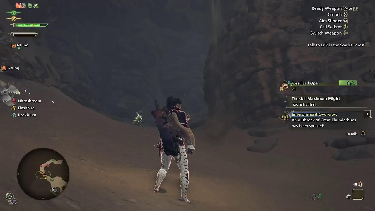 Monster Hunter Wilds #27