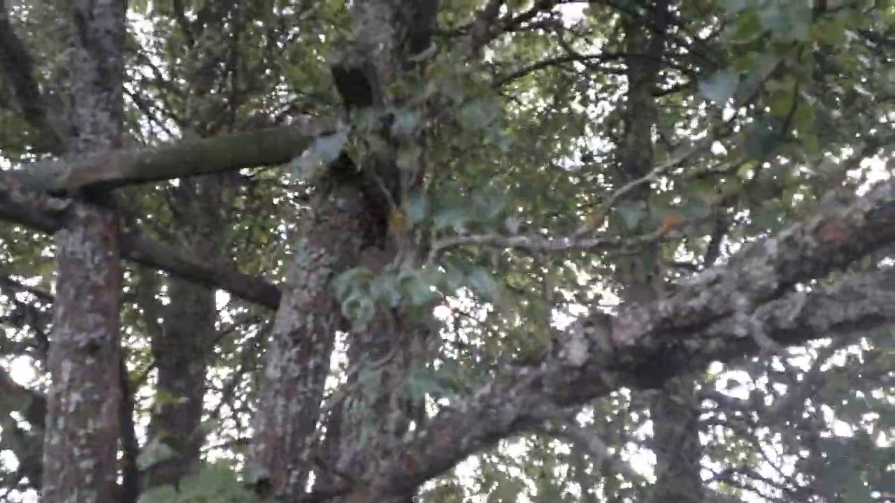 26 июля 2024 г.