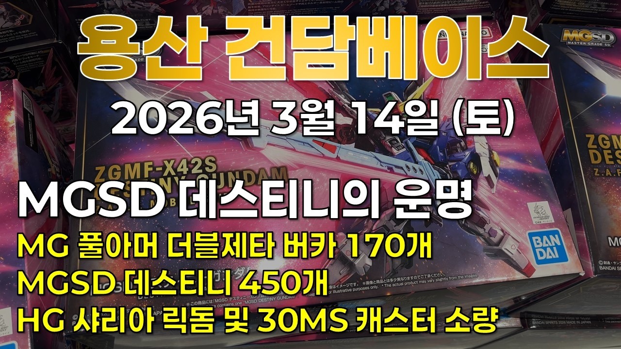 [재고조사] 2026.3.14 (토) 용산 건베: 역대급 오픈런! 과연 MGSD 데스티니의 운명은?
