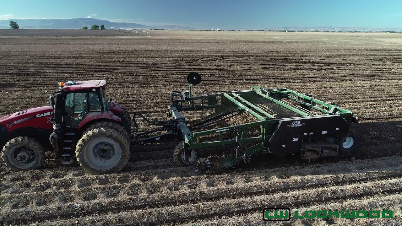 LOCKWOOD Harvest 2019