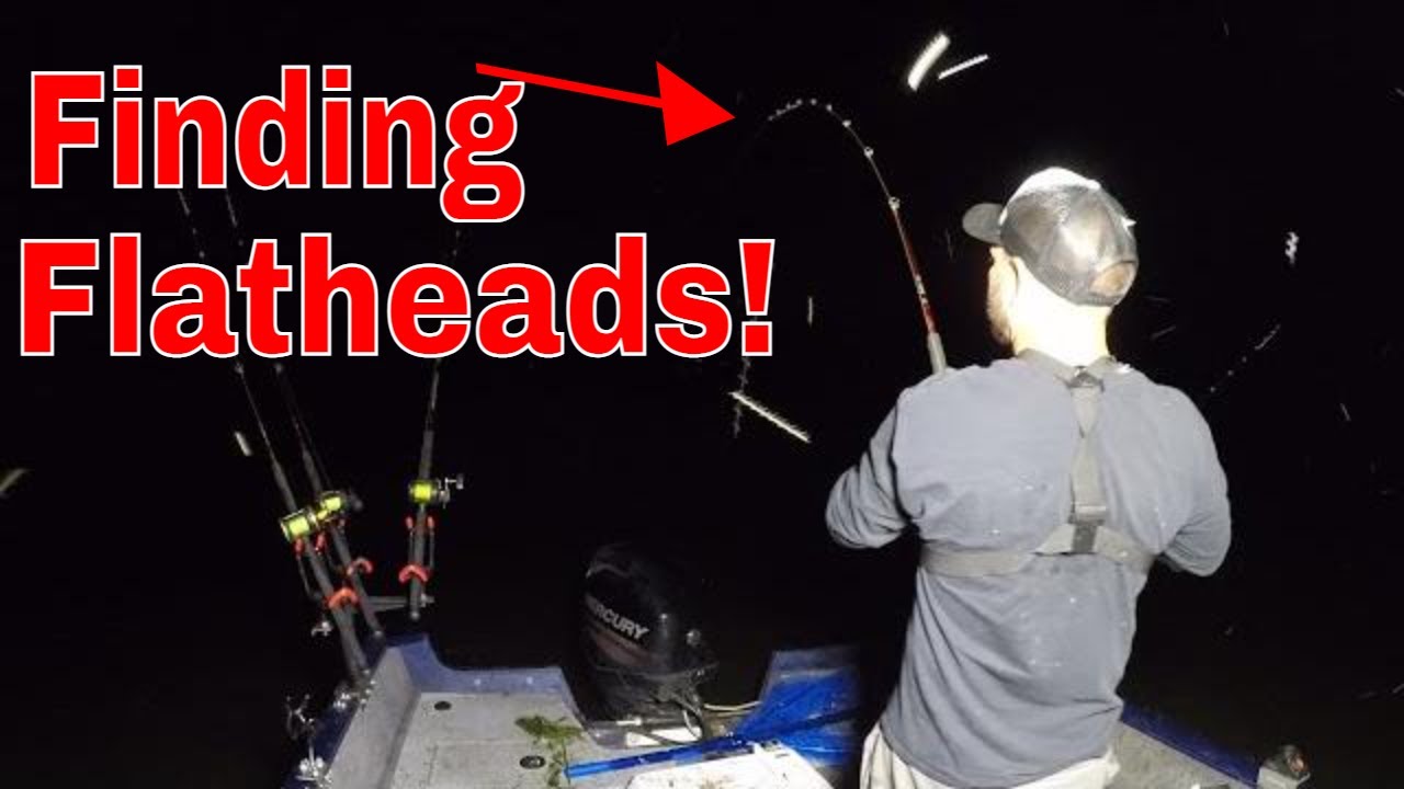 How to FIND Pre Spawn Flathead Catfish! (TONS of FISH)