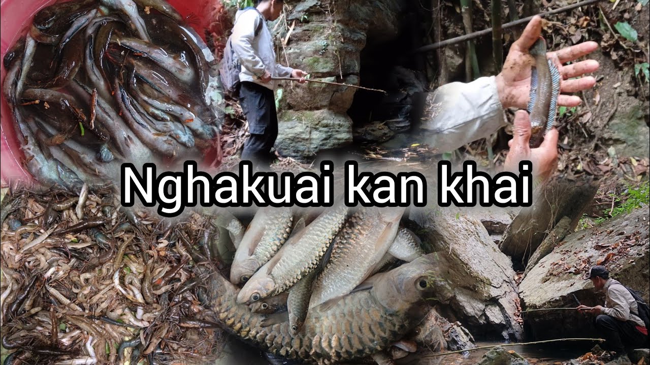 Luilamah nghakuai leh kaikuang kapin,kan man ve nual mai 🐟🦐