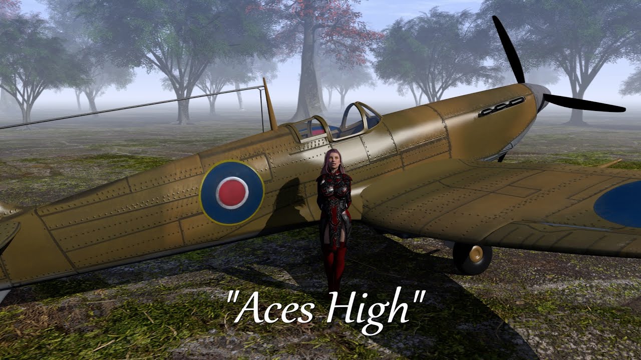 Aces High - Supermarine Spitfire VS Enterprise D