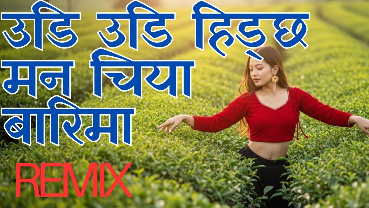 Udi Udi Hidchha Man Chiya Barima Remix - उडि उडि हिड्छ मन चि या बारि मा