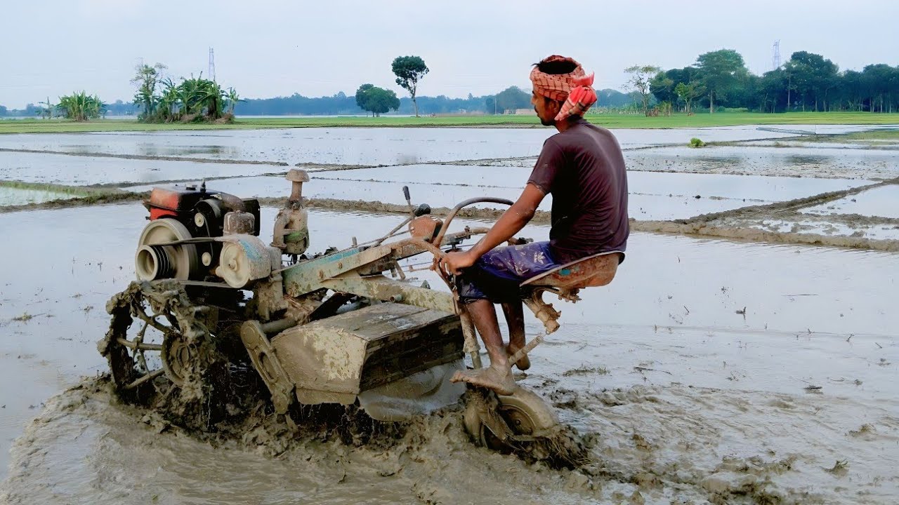 গাড়া জমিতে কাঁদার চাষ করতে গেলে খুবই কষ্ট হয়।
