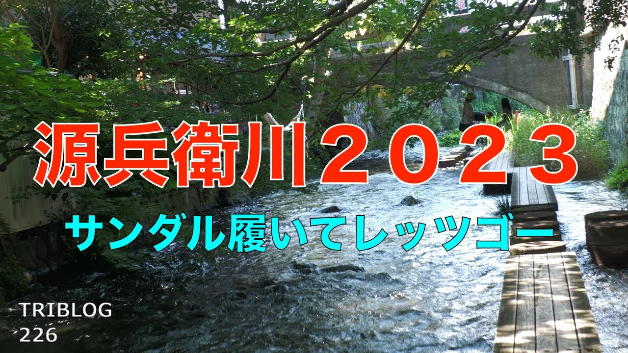 源兵衛川散歩2023 サンダル履いてレッツゴー　静岡県三島市 水の都の冷たい散歩道　TRIBLOG 226