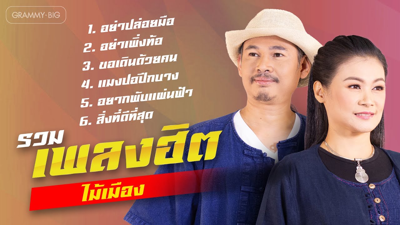รวมเพลงฮิต ไม้เมือง l อย่าปล่อยมือ, อย่าเพิ่งท้อ, อยากพับแผ่นฟ้า [Longplay]