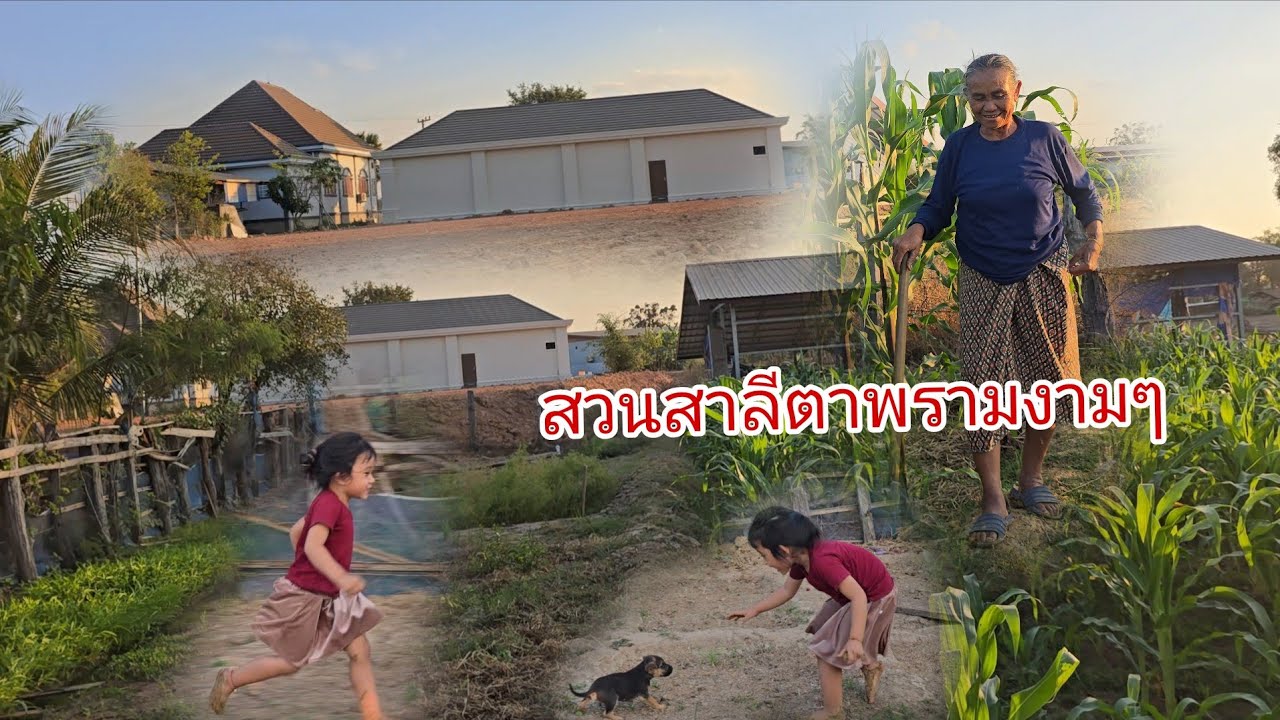 มีนัดกับยายแปเบีดครอบครัวเลาะเบิ่งบ้านแม่อาต้งามคัก