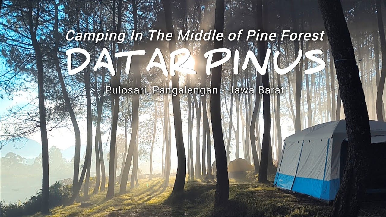 DATAR PINUS Pangalengan - Bandung | Sunrise Terbaik Di Hutan Pinus