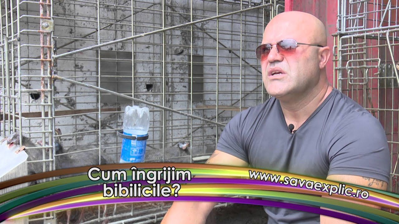 Cum creştem bibilicile?