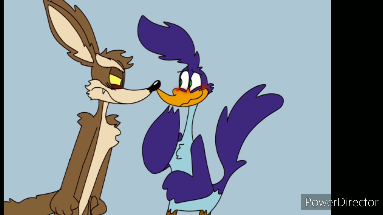 wile e coyote x roadrunner hey there delilah