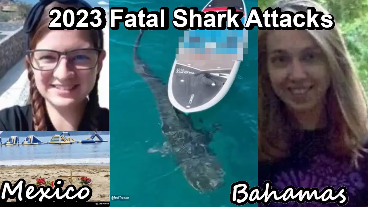 Tragic Fatal Shark Attacks: Two Women Killed in the Bahamas, One Fatality in Mexico