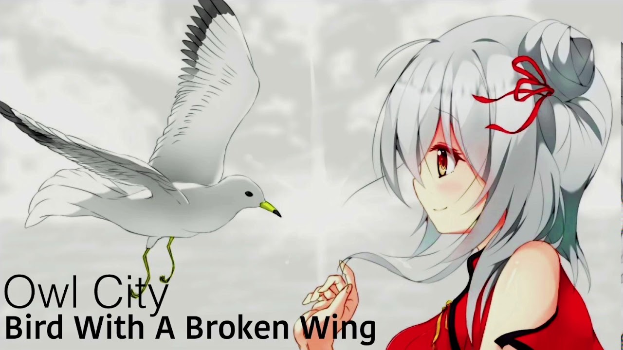 bird with a broken wing - owl city (slowed + reverb)