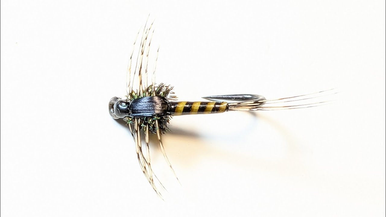 Quill Body Olive Baetis Nymph.#flytying #flyfishing #nymphs #baetis #troutflies #shotaflies #Bestfly