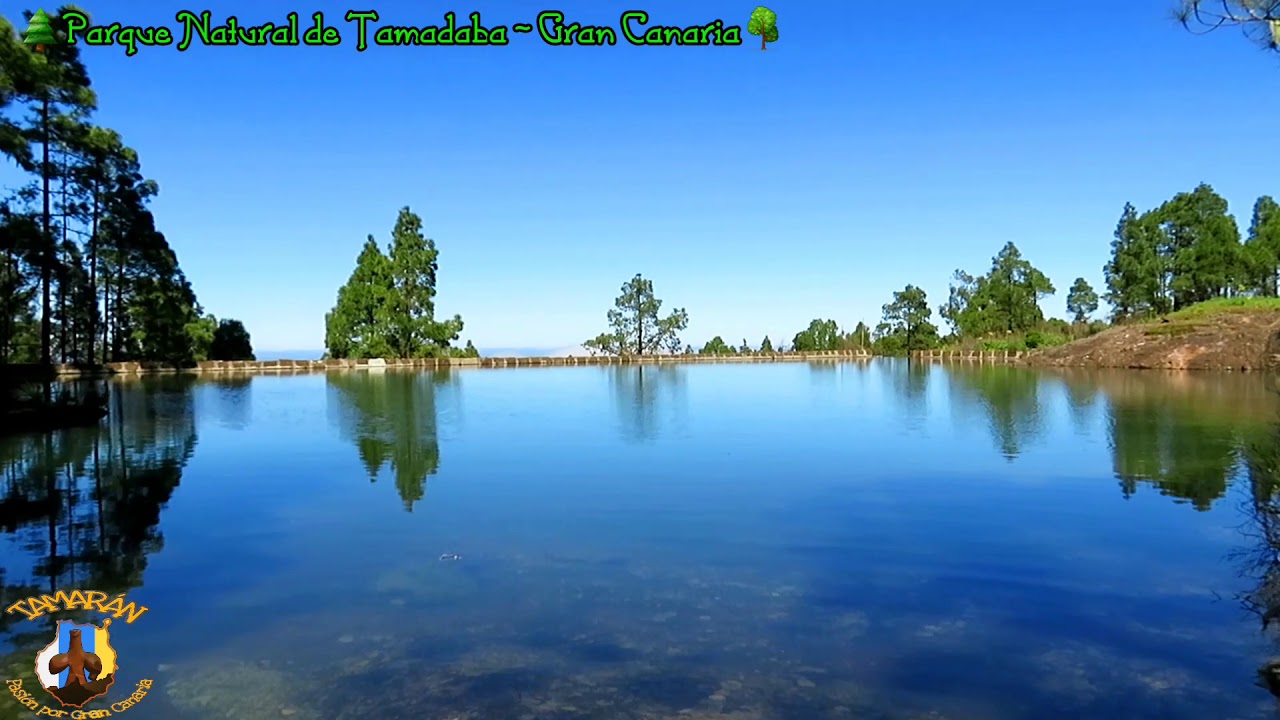 PARQUE NATURAL DE TAMADABA - Gran Canaria