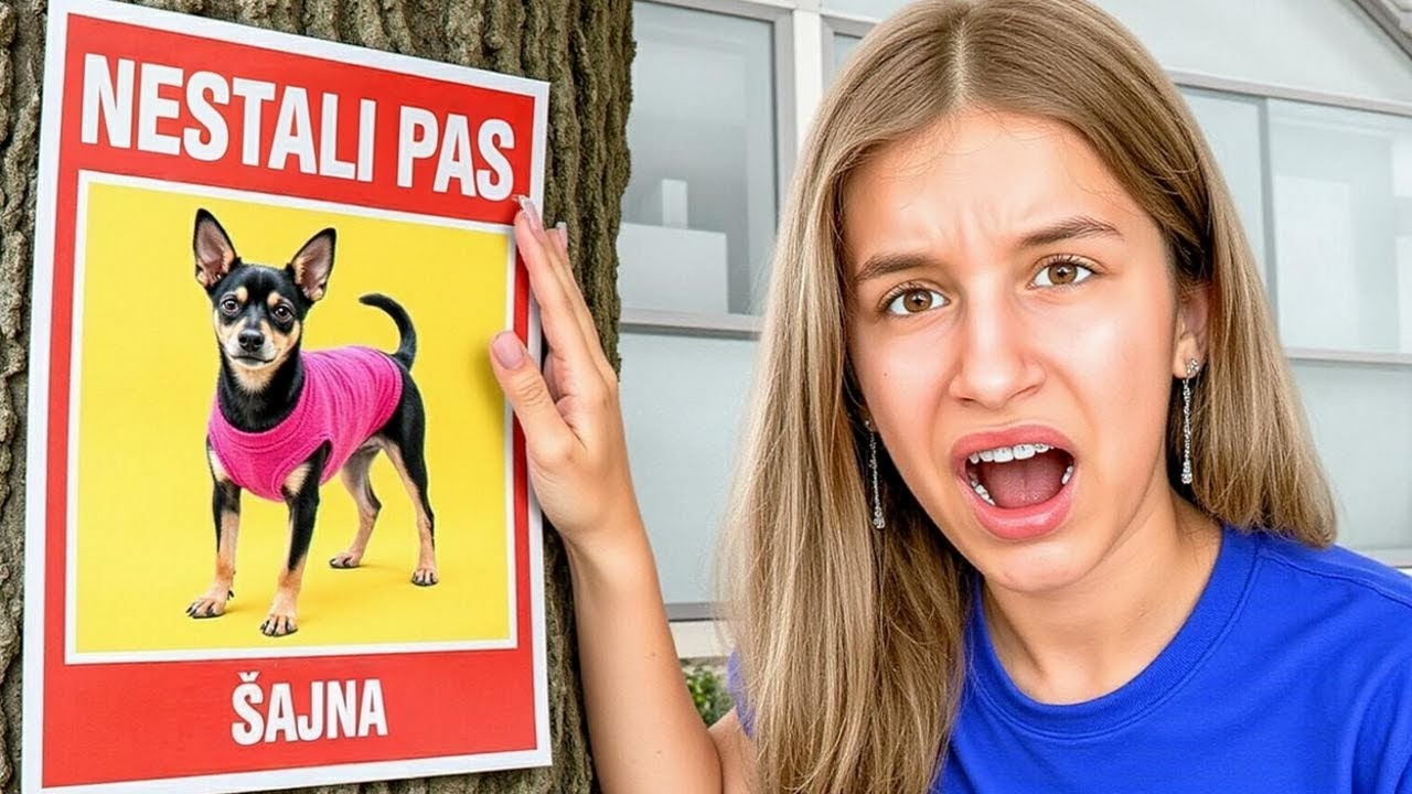 NAŠ UDOMLJENI PAS JE NESTAO