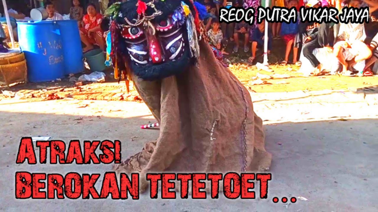 Atraksi berokan tetetoet Indramayu | Reog putra vikar jaya