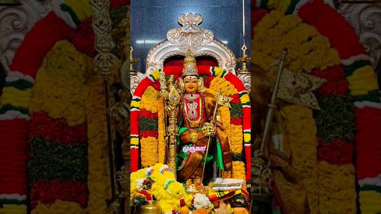 🦚💖Murugan Thoughts💖🦚|#shorts #shortsvideo #devotional #murugan #thoughts