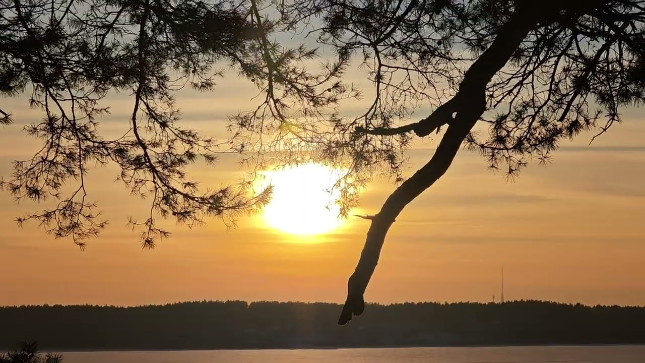 The Sun. Riga, February 1, 2026. Frozen Lake Sunset. Winter Silence You Can Feel