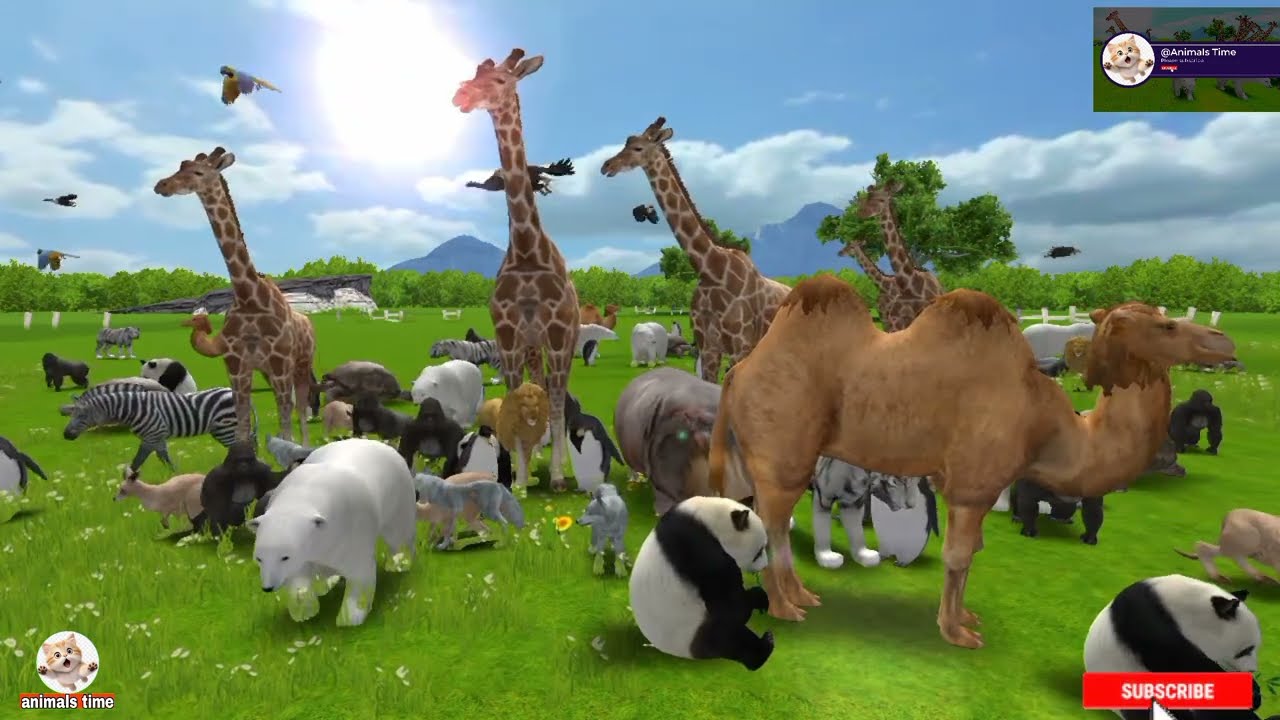 wild animals, animals safari, african safari animals, best safari animals, safari adventure animals