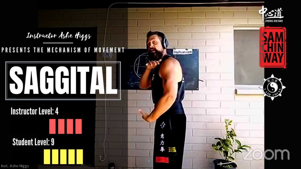 I Liq Chuan Live Streams | Saggital Energy by Inst. Ashe Higgs