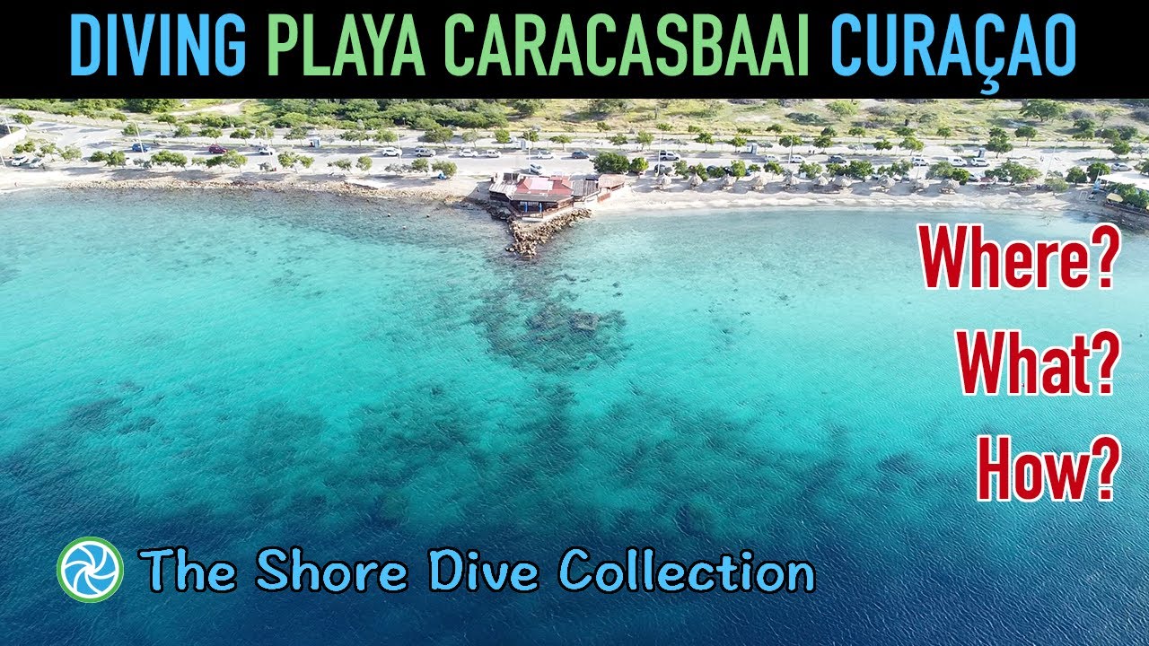 Diving Playa Caracasbaai Curaçao | The Shore Dive Collection | TropicLens   4K