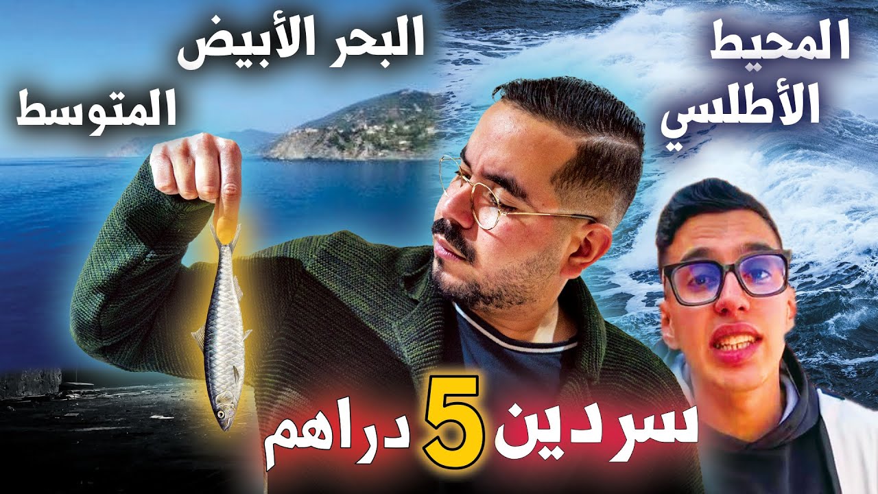 سردين ب 5 دراهم...⚠️ علاش داير حالة فالمغرب؟ 😱