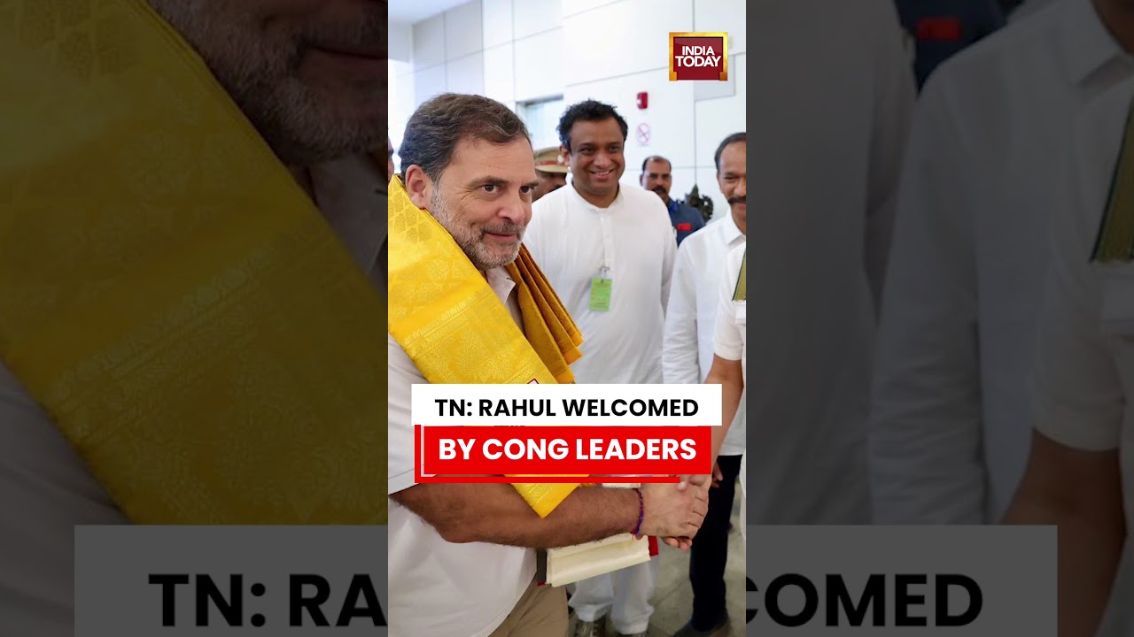 Rahul Gandhi Welcomed By Congress Leaders In Chennai | Tamil Nadu CM | Vijay | TVK