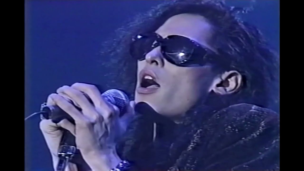 Der Zibet - Blue Film Live