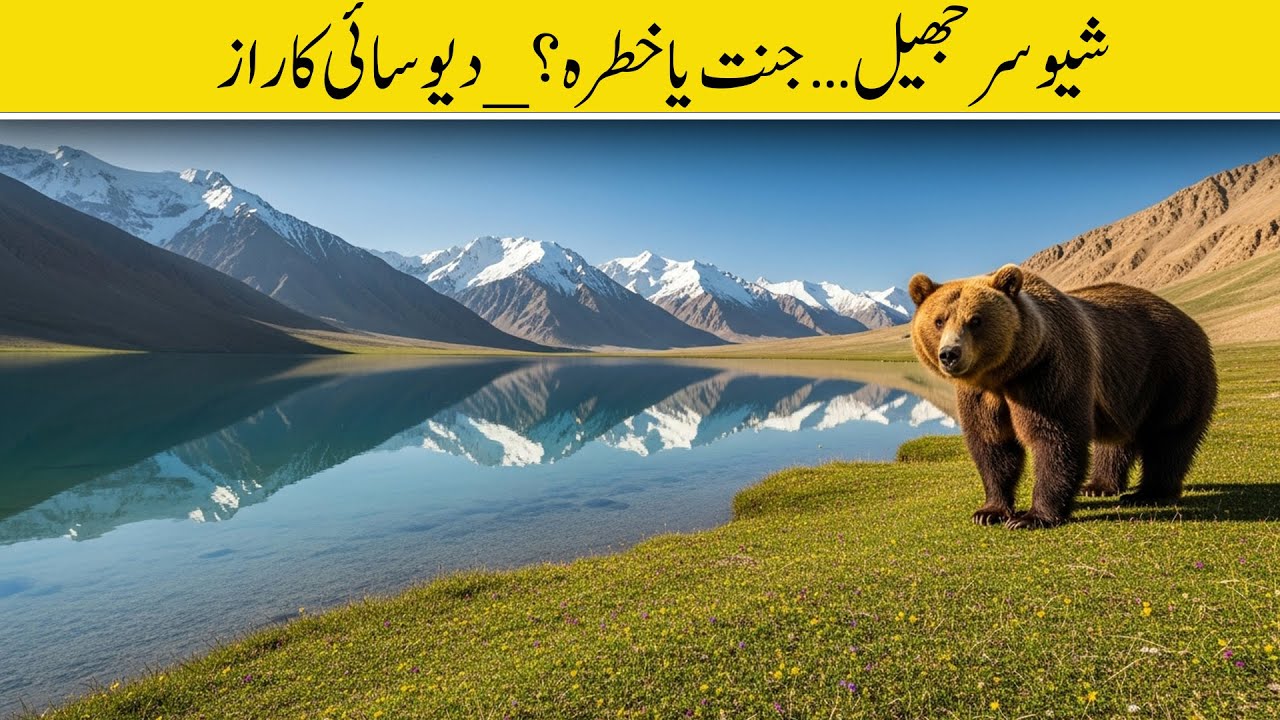 Deosai National Park Skardu | Bam-e-Dunya Ka Tilism (Sheosar Lake + Brown Bear!)